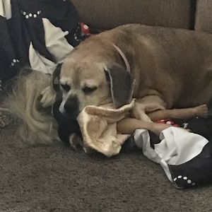 Meet your Posher, Anthony